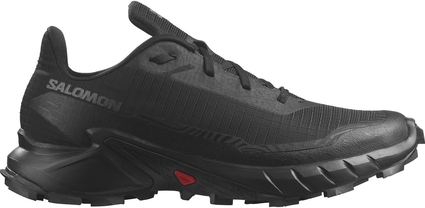 Alphacross gtx salomon online